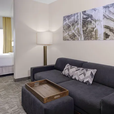 Springhill Suites By Marriott Memphis East Galleria-2