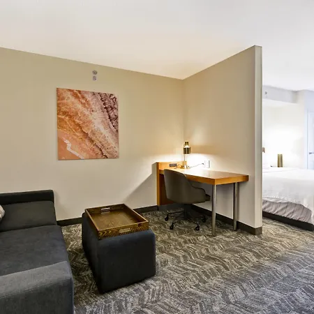 Springhill Suites By Marriott Lexington Near The University Of Kentucky-3