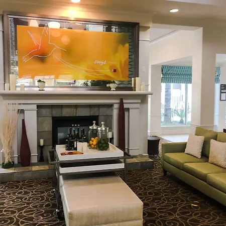 Hilton Garden Inn Houston/Galleria Area-3