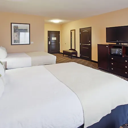 Holiday Inn Arlington Northeast By Ihg-2