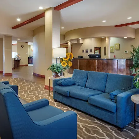 Comfort Suites Airport South-3
