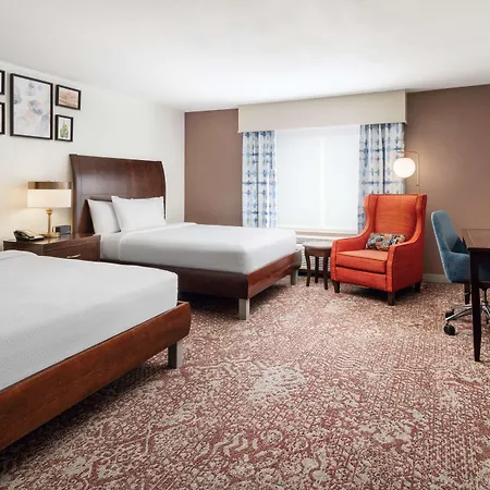Hilton Garden Inn El Paso Airport-3