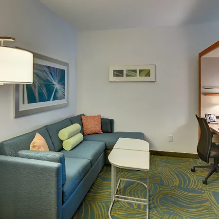Springhill Suites By Marriott Dallas Plano/Frisco-2
