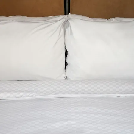 Four Points By Sheraton Regina-3