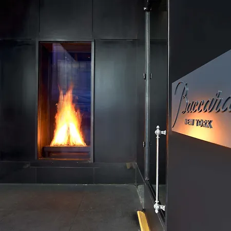 Baccarat Hotel And Residences New York-2