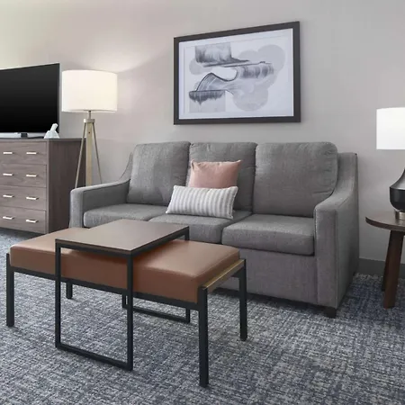 Homewood Suites By Hilton Dfw Airport South, Tx-3