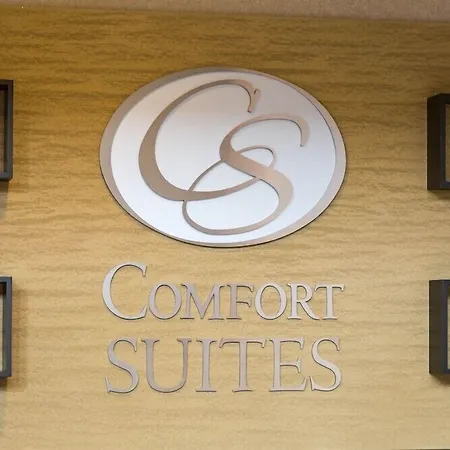 Comfort Suites Fort Worth North Fossil Creek-2