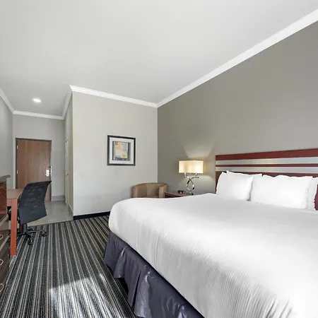 Best Western Plus Austin Airport Inn & Suites-2