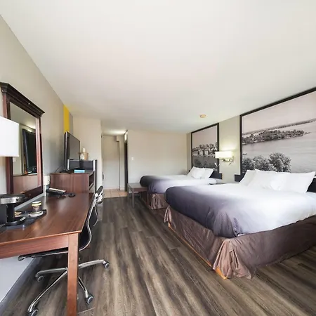 Super 8 By Wyndham Kingston-3