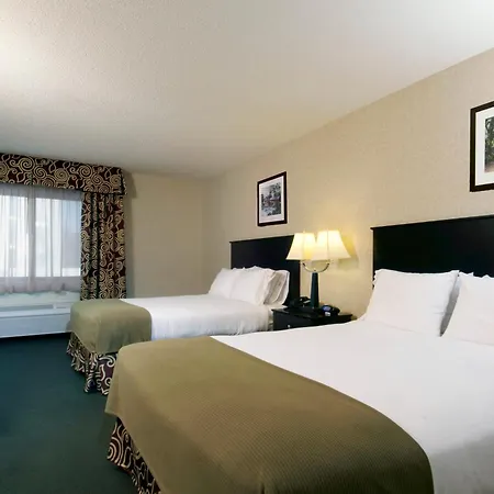 Holiday Inn Express Hotel & Suites Minneapolis-Downtown Convention Center By Ihg-2