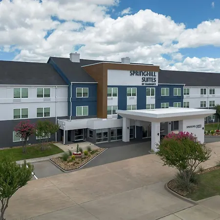 Springhill Suites Dallas Arlington North-3