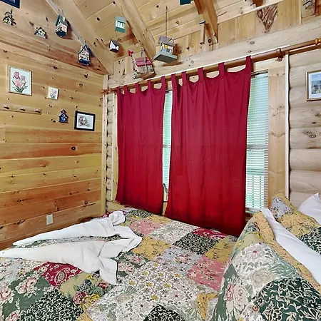 Alpine Ski Lodge-3