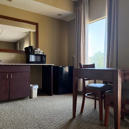 Vista Suites Near Island And Leconte Convention Center-3