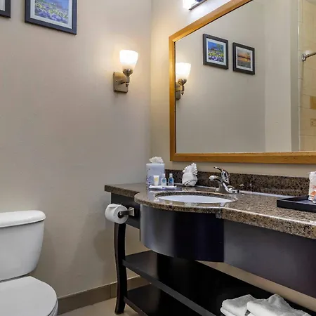 Comfort Suites Plano - Dallas North-3
