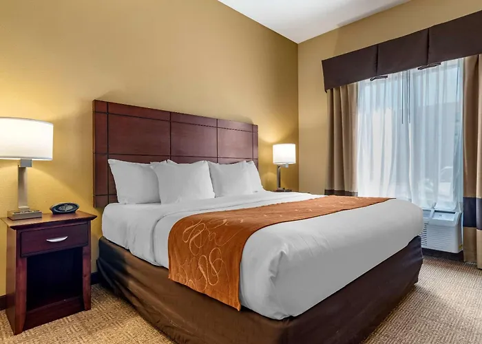 Comfort Suites Airport South Montgomery