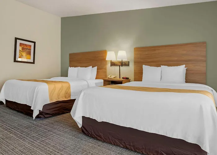 Quality Inn & Suites Nrg Park - Medical Center Houston