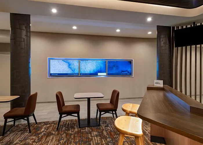 Springhill Suites By Marriott Dallas Richardson/University Area