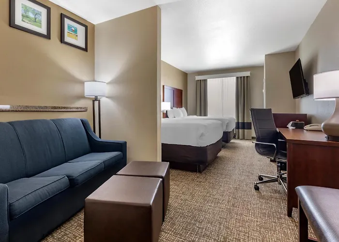 Comfort Suites Plano - Dallas North