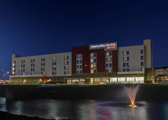 Springhill Suites By Marriott Dallas Plano/Frisco Camey