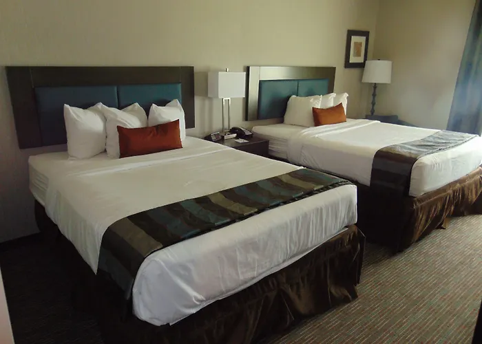 Wingate By Wyndham Lubbock Hotel