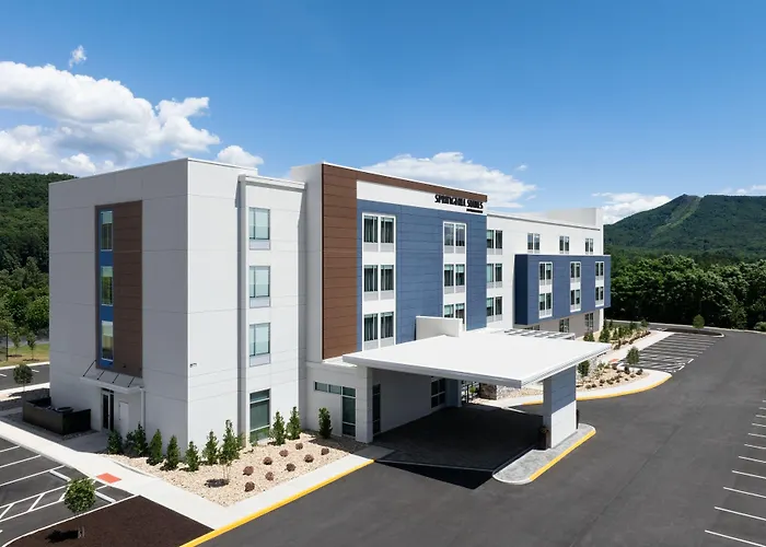 Springhill Suites By Marriott Roanoke North