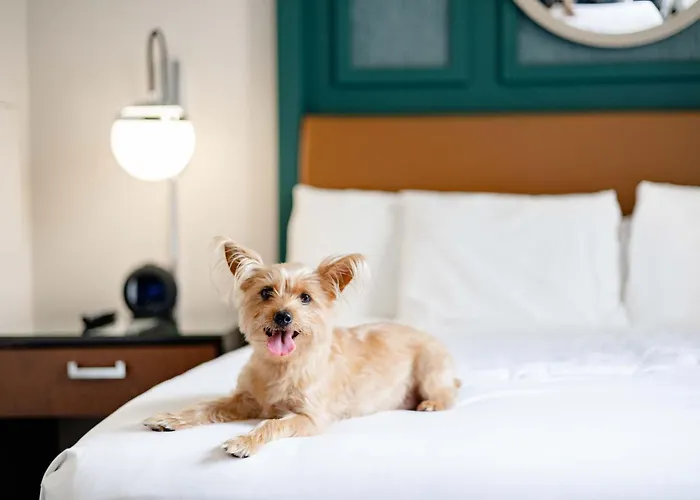 Hyatt Centric French Quarter New Orleans Hotel