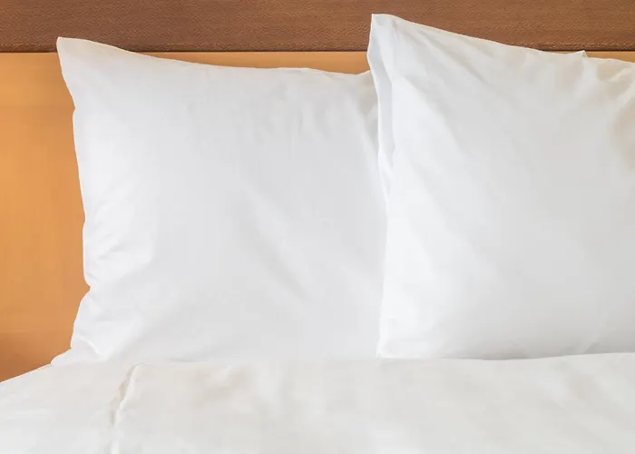 Avid Hotel Fort Worth Downtown By Ihg