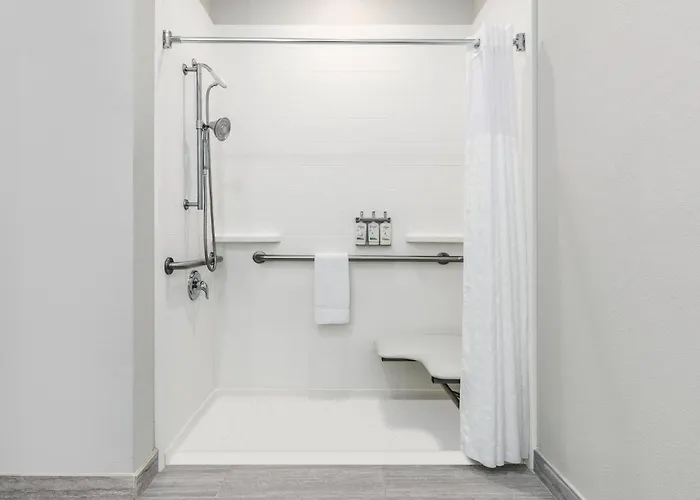 Holiday Inn Express Hotel & Suites Dallas West By Ihg