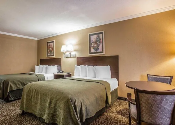Quality Inn & Suites Ft Jackson Maingate Columbia