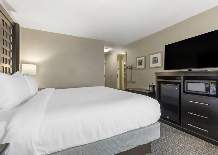 Comfort Inn Plano-Dallas